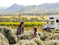 camper hire new zealand example Hercules