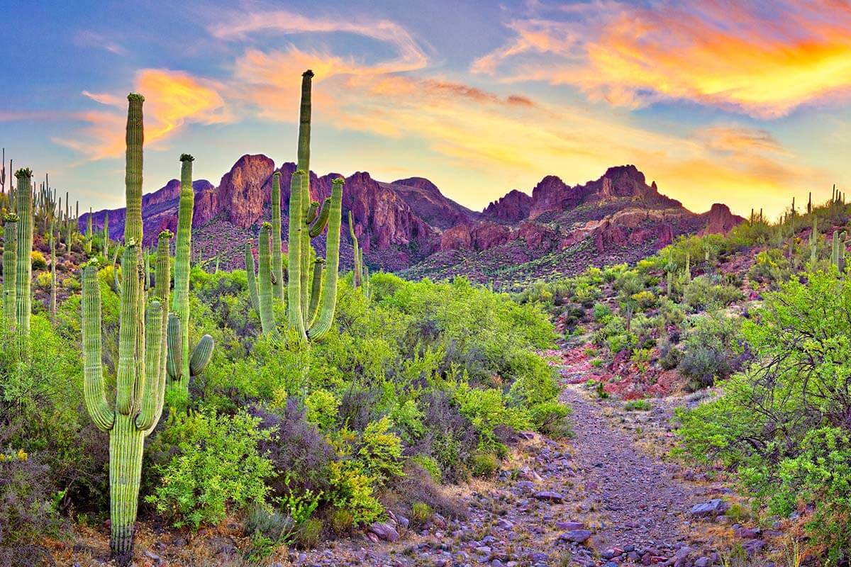 Phoenix — Phoenix scenic landscape travel