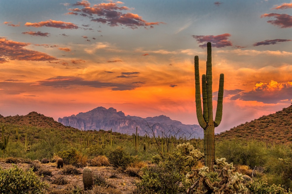 Phoenix — Phoenix scenic landscape travel