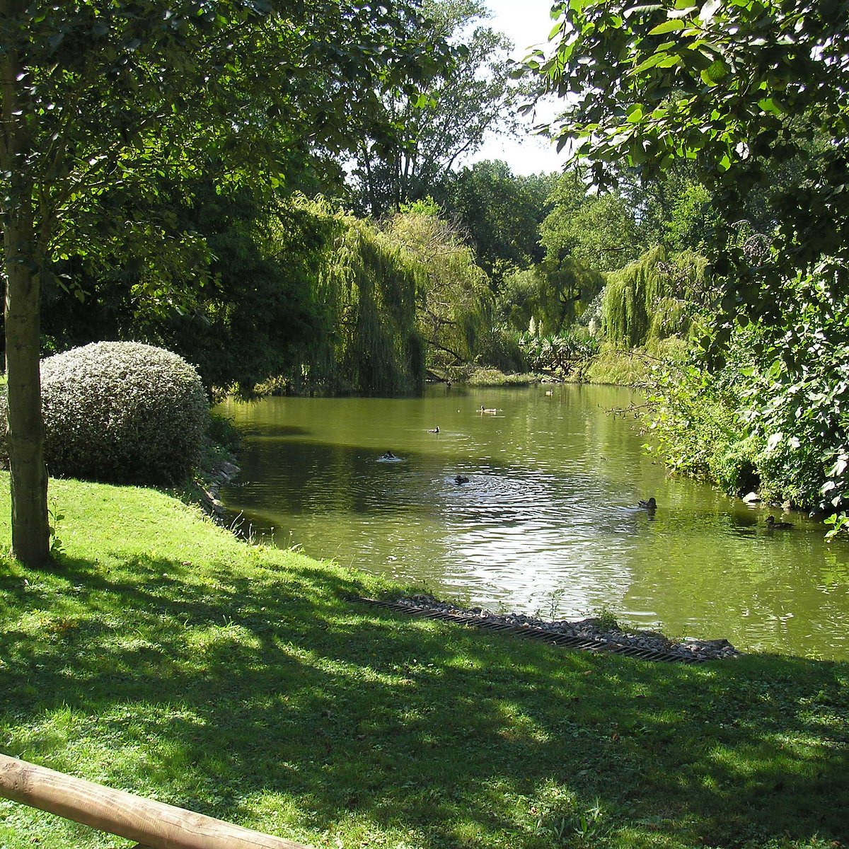 Gijon — Gijon campground nature