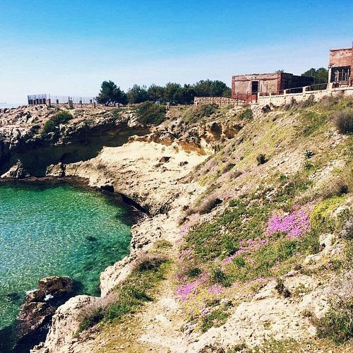 Tarragona — Tarragona campground nature