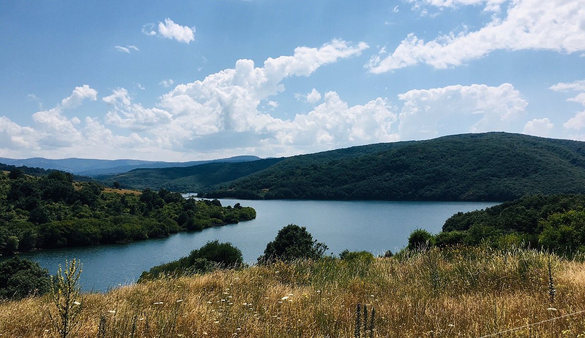 Burgos - Airport — Burgos - Airport campground nature