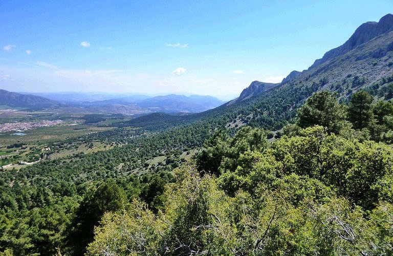 Almeria - Airport — Almeria - Airport campground nature