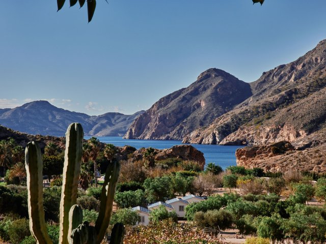 Murcia - Airport — Murcia - Airport campground nature