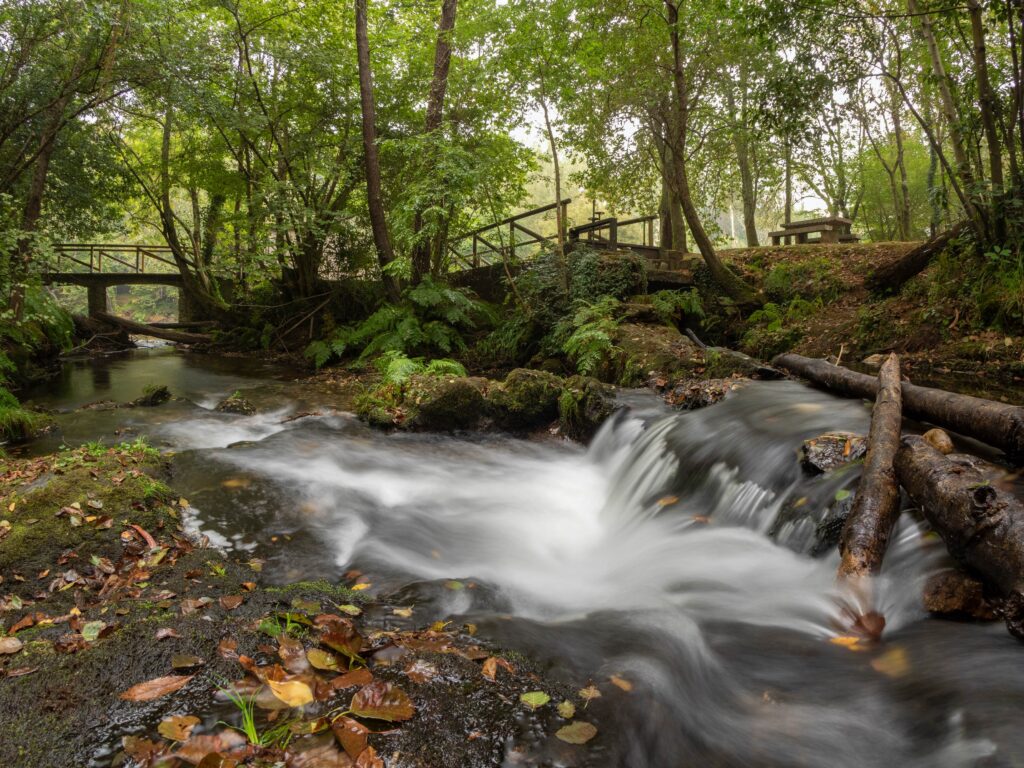 Naron (Ferrol) — Natura na kempingu w Naron (Ferrol)