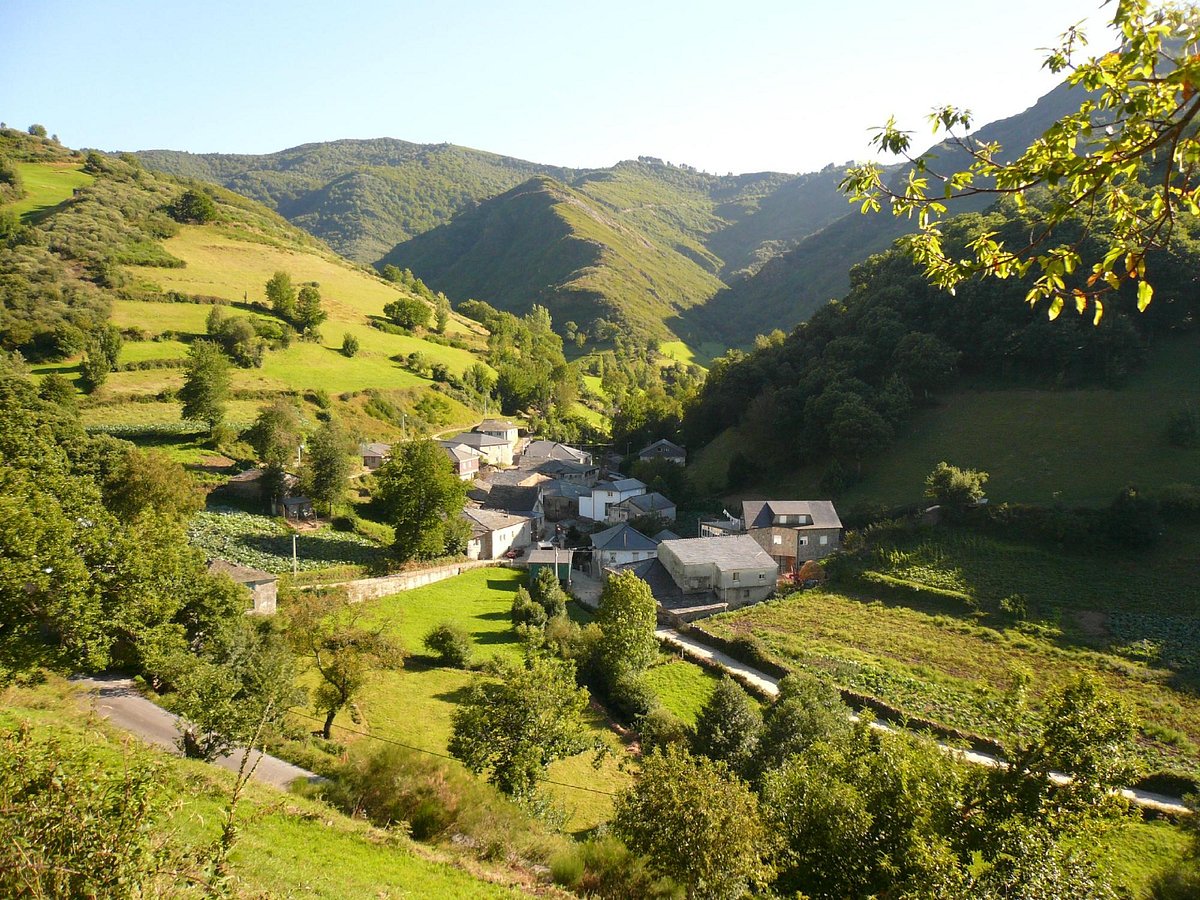 Vigo - Airport — Vigo - Airport campground nature