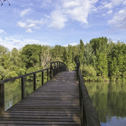 Lleida – Alguaire Airport — Lleida – Alguaire Airport campground nature