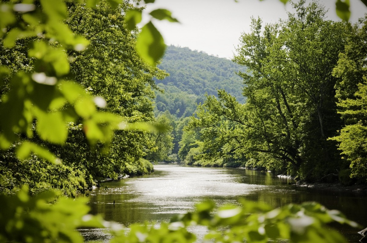Les Echets — Les Echets campground nature