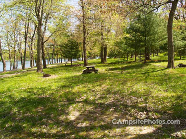 Warluis — Warluis campground nature