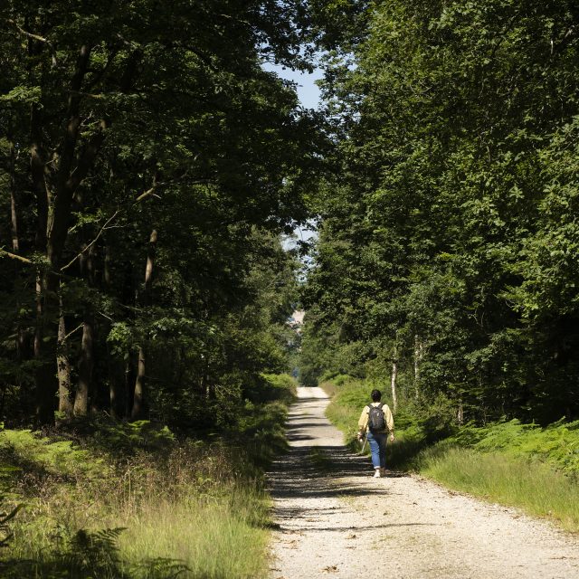 Alencon — Alencon campground nature