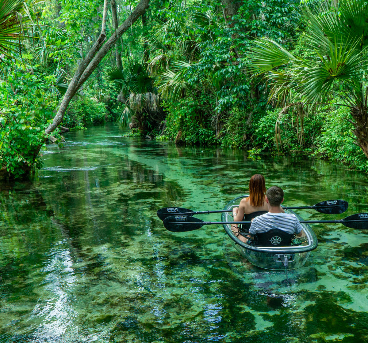 Orl?ans — Orl?ans scenic landscape travel