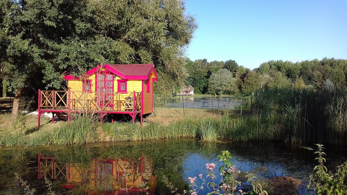 Montargis — Montargis campground nature