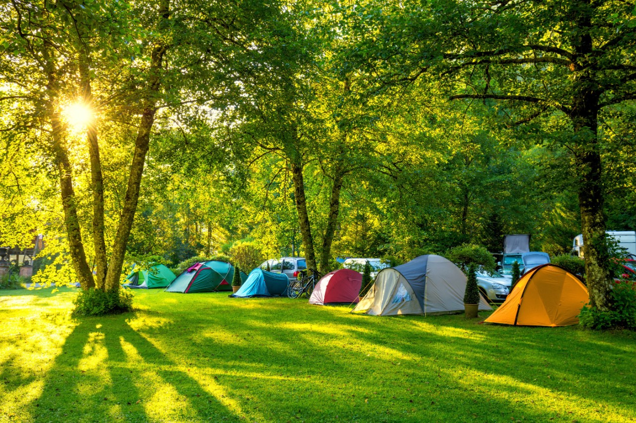 Le Mans — Le Mans campground nature