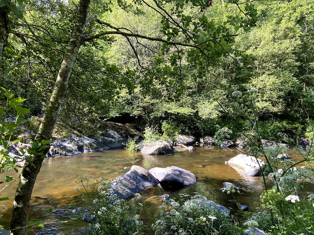 La ROCHE sur YON — La ROCHE sur YON scenic landscape travel