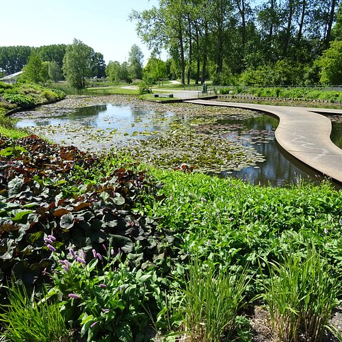 Hoofddorp — Hoofddorp campground nature