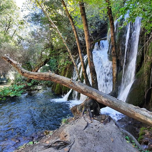 Isernia — Isernia campground nature
