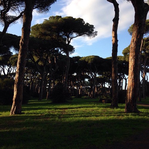Roma - Fiumicino airport — Roma - Fiumicino airport campground nature
