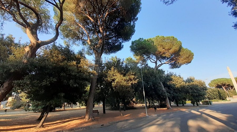 Palermo - Falcone Borsellino airport — Palermo - Falcone Borsellino airport campground nature