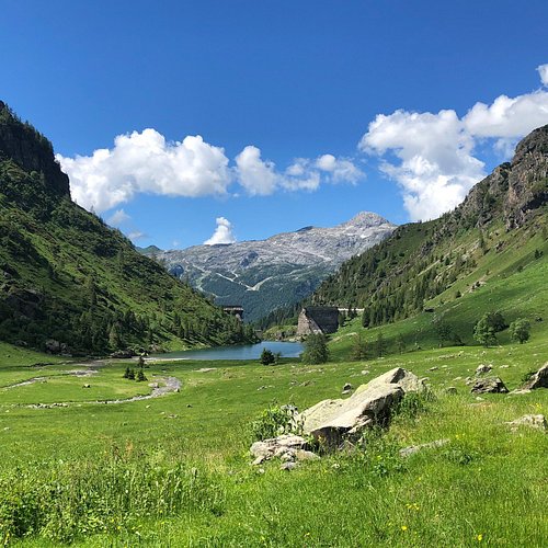 Bergamo - Orio al Serio Airport — Bergamo - Orio al Serio Airport campground nature