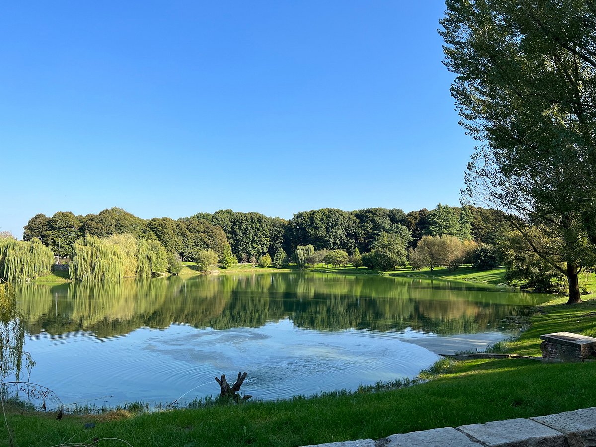 Milano - Linate airport — Milano - Linate airport campground nature