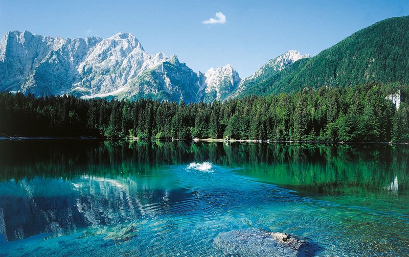 Trieste - Ronchi dei Legionari airport — Trieste - Ronchi dei Legionari airport campground nature