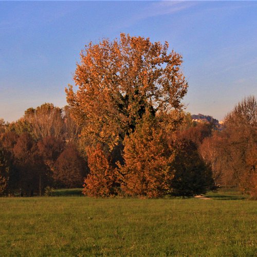 Moncalieri — natura na kempingu w Moncalieri
