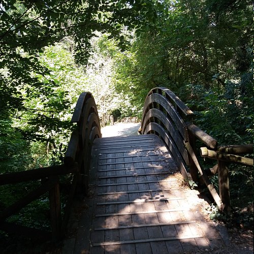 Imola — Imola campground nature