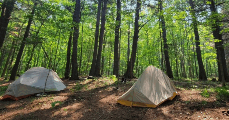 Calci — Calci campground nature