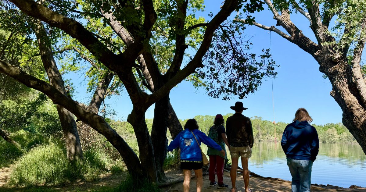 Lodi — Lodi campground nature