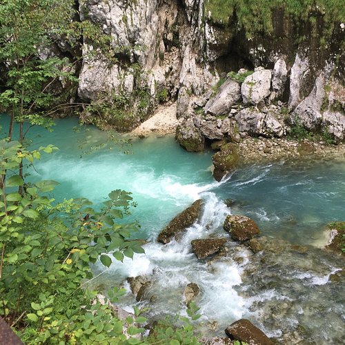 Pordenone - Cordenons — Pordenone - Cordenons campground nature