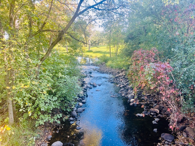 Genola — Genola campground nature