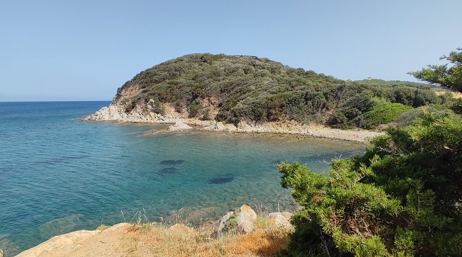 Piombino — Piombino campground nature