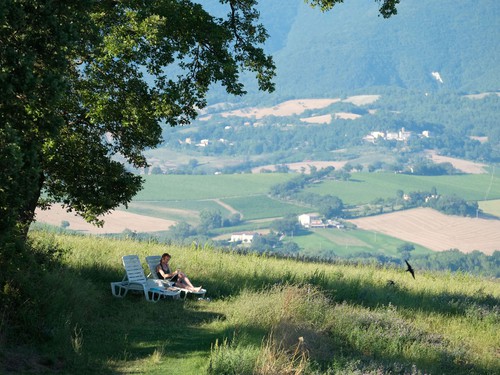Ancona - Airport — Ancona - Airport campground nature