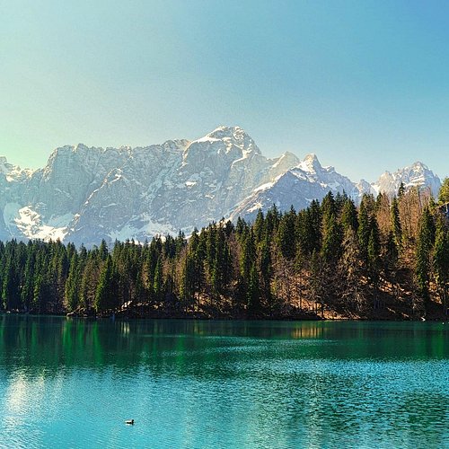 Udine - Train Station — Udine - Train Station campground nature