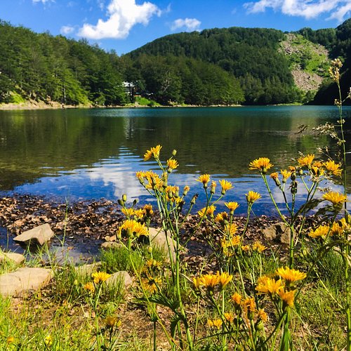 Modena — Modena campground nature