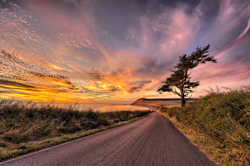 Weyhe — Weyhe scenic landscape travel