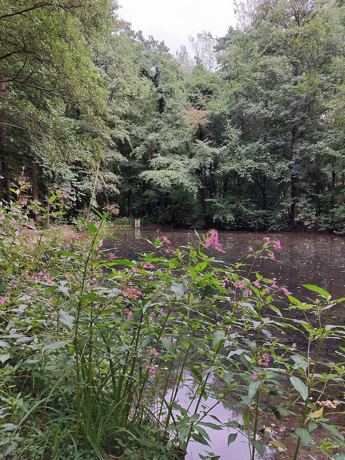 Paderborn — kemping w naturze