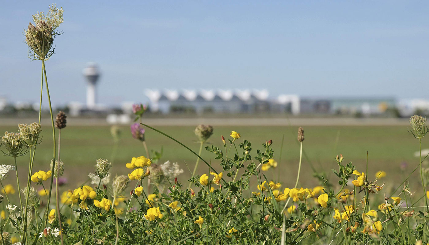 Munich - Airport — Munich - Airport campground nature