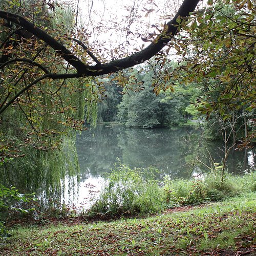 Nordhausen — Nordhausen campground nature