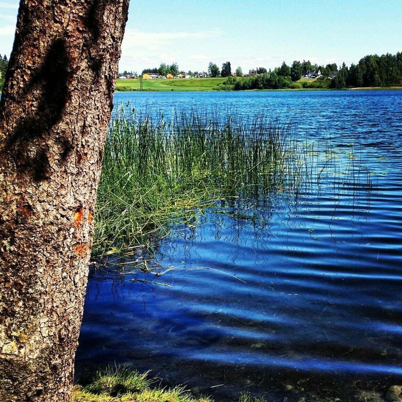 Jessheim — Jessheim campground nature
