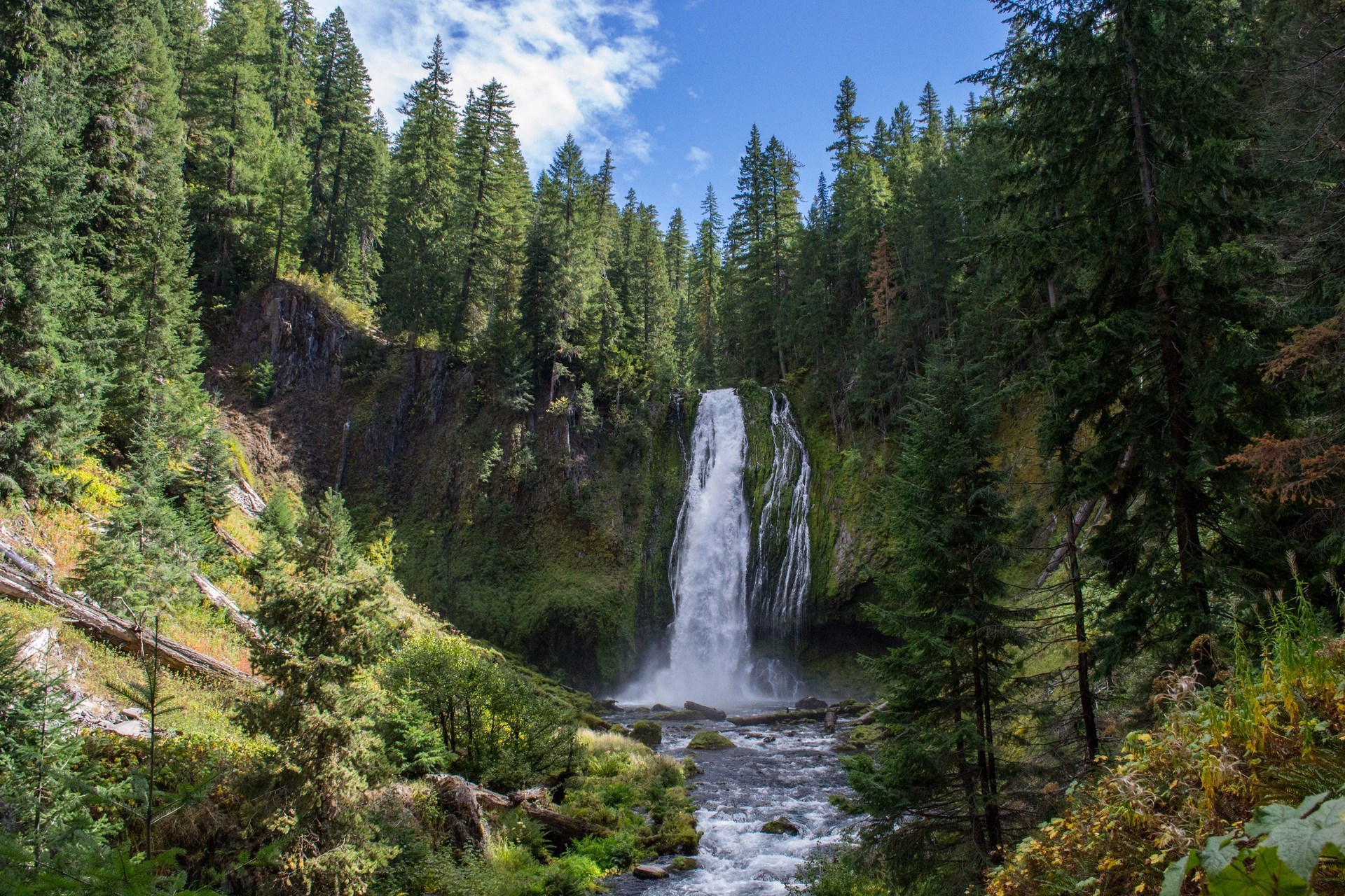 Kløfta — Kløfta campground nature