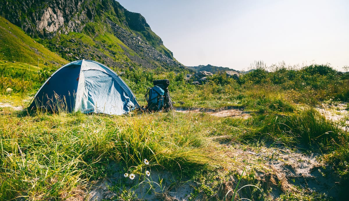 Tromsø - Airport — Tromsø - Airport campground nature