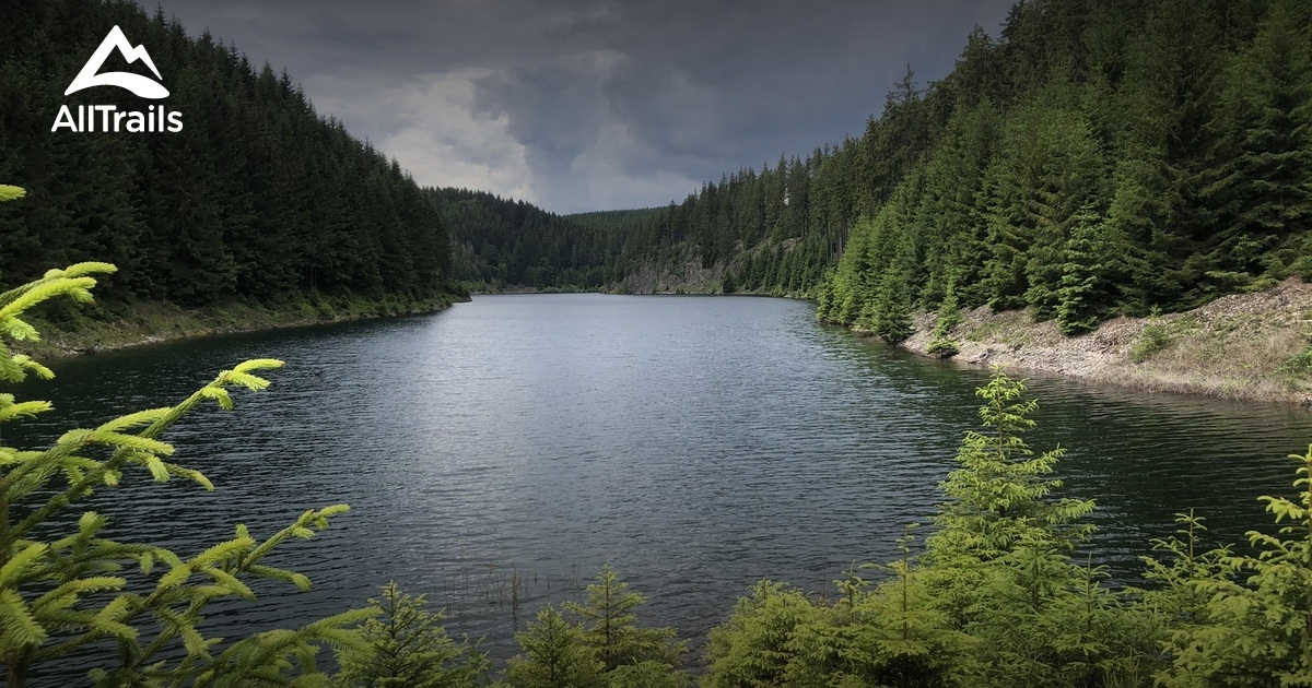 Las Turyński – kemping, natura