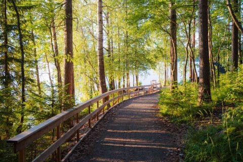 Jyväskylä — Jyväskylä campground nature