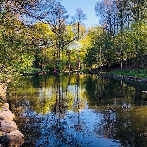 Helsingborg — Helsingborg campground nature
