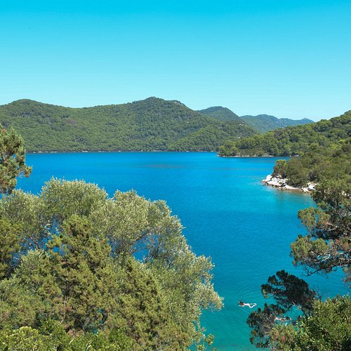 Dubrovnik — Dubrovnik campground nature