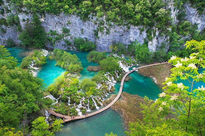 Dubrovnik - Airport — Dubrovnik - Airport campground nature