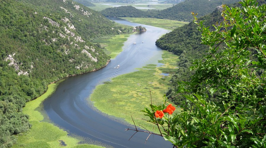 Rijeka - Airport — Rijeka - Airport campground nature
