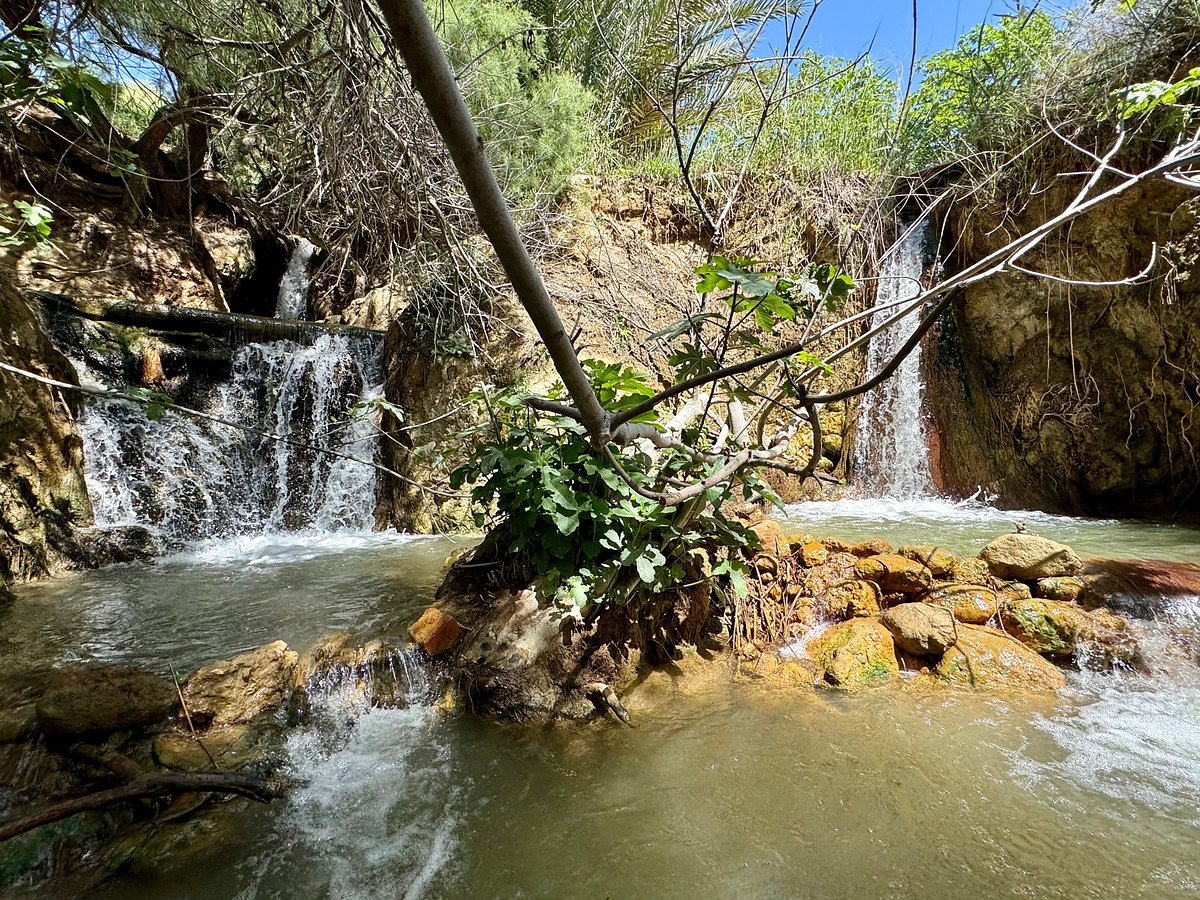Santa Fe Springs — Santa Fe Springs campground nature
