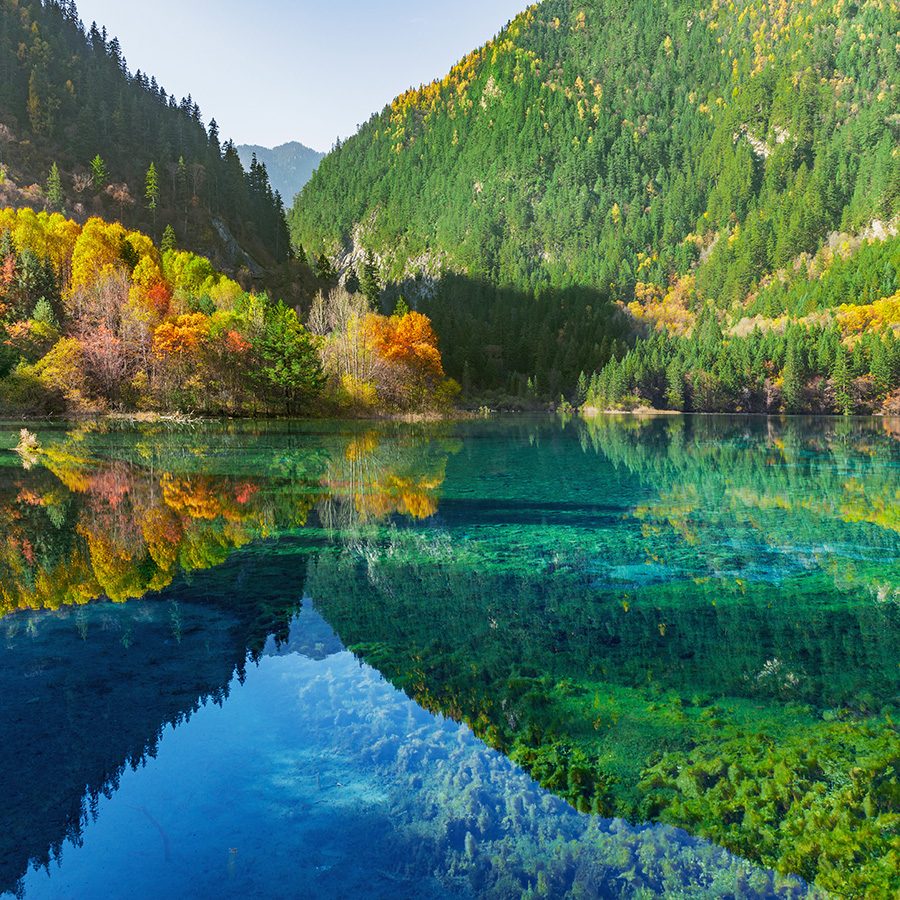 Chino — Chino scenic landscape travel